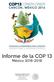 Informe de la COP 13 México