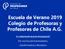 Escuela de Verano 2019 Colegio de Profesoras y Profesores de Chile A.G.
