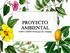 Proyecto Ambiental AMPA CEIPSO Príncipes de Asturias