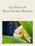 Las flores de Rosa Navarro Haydon JOSÉ A. MARI MUT