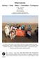 Marruecos: Arena Arte Mar Camellos- Compras