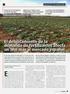 DOSSIER FERTIRRIGACIÓN1. La práctica de la fertirrigación en el cultivo del melocotonero en España