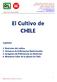El Cultivo de CHILE. Capítulos