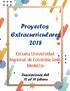 Proyectos Extracurriculares 2018
