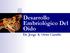 Desarrollo Embriológico Del Oído. Dr. Jorge A. Ortiz Castillo