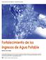 Fortalecimiento de los Ingresos de Agua Potable. Administración de Egresos y Deuda Municipal. Antonio Pérez Angel