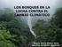LOS BOSQUES EN LA LUCHA CONTRA EL CAMBIO CLIMÁTICO. Ángela María Amaya Arias Derecho del Medio Ambiente