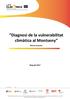 Diagnosi de la vulnerabilitat climàtica al Montseny. Resum executiu