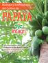 Curso Internacional sobre Producción de Piña, Banano y Papaya 21 al 23 de Noviembre de 2018, Boca del Rio, Ver. México