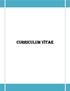 CURRICULUM VITAE. Perfil General