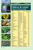 Cultivos de verano CULTIVOS REGISTRO NACIONAL DE CULTIVARES. Cultivares autorizados a comercializar y certificar al 11 de Setiembre de 2006