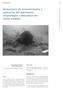 Actuaciones de reconocimiento y valoración del patrimonio arqueológico subacuático del litoral andaluz