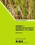 Dirección de Agropecuario SIEMBRA Y SUPERFICIE EXISTENTE SEMBRADA DE ARROZ AÑO Edición Febrero de 2009