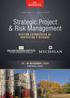 Strategic Project & Risk Management
