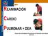 REANIMACIÓN CARDIO PULMONAR + DEA. European Resuscitation Council. Grupo de Actividades Preventivas en Ciencias de la Salud GAP-CS