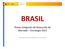 BRASIL. Planes Integrales de Desarrollo de Mercado Estrategia Secretaría de Estado de Comercio