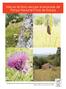 Manual de flora vascular amenazada del Parque Nacional Picos de Europa