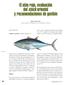 El atún rojo, evaluación del stock oriental y recomendaciones de gestión